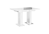 PROROOM FURNITURE - Glass Table - Esstisch - mit 2 massiven Säulenfüßen - Rechteckig - 120x80x75 cm - Ausziehbar auf 160 cm - Modern - für Esszimmer, Küche, Wohnzimmer, Salon - Weiß G
