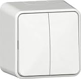Gira 310513 Wippschalter, 10 AX, 250 V~, mit Montageplatte, S