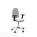 Piqueras y Crespo Aýna Bürostuhl mit Gitter, zur Haltungskorrektur, höhenverstellbare Rückenlehne, 2D-Arm, Dauerkontakt, Nutzung 4-6 Stunden, maximales Gewicht 100 kg
