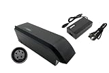 PowerSmart® 48V Batterie SF-06 Akku 9,6 Ah Ersatz für Fischer ETD 1606, ETD 1616, ETH 1607, mit Ladeg