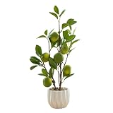 16-Zoll-Mix-Zwerg-Bonsai-Obstbaum, Künstliche Zitronen-Simulation, Lebensechter Obstbaum, Grüne Pflanze, Künstliche Früchte mit Topf Im Topf, Perfekt für Küche, Zuhause, Innendekoration(#1)