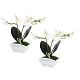 VOSAREA 2St Simulation Phalaenopsis gefälschte Bonsai- künstliche Topfblumen künstliche Phalaenopsis-Orchideen gefälschter dekorativer Pflanzentopf Kunstpflanze im Topf Plastik Weiß