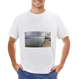 Lake Zurich Switzerland Panorama T-Shirt Vintage t Shirt cat Shirts Korean Fashion T-Shirt White XL