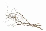 NaDeco Korkenzieher-Zweig, 3 Stück im Bund, ca. 100-120cm | Verschnörkelter Deko AST | Korkenzieherhasel | Haselzweige | Schöner Osterzweig | Sitzstange für Wellensittiche | Dekozweige für B