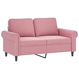 QJBSAVVA Sitzsessel Big Sofa Ottomane Sofa Outdoor Sofa - 2-Sitzer-Sofa Rosa 120 cm Samt für Wohnzimmer Schlafzimmer Ausstellungshalle R