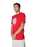 FC Bayern München I T-Shirt Essential I Herren I Rot I XL