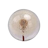 TMMLIJIPL Kristallkugel, unsterbliche Blume, Pflanze, Wohnzimmer, Kristallkugel, Geschenk, kreatives Geburtstag, Mädchen, Handwerk, Schlafzimmer, Basteln, Dekoration, Heimdek
