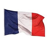 Aricona Frankreich Flagge 90x150cm - wetterbeständige Fahne mit Messingösen, 100% Polyester, robuste Doppelnaht & in lebendigen Farben - ideal für Flaggen-Liebhab