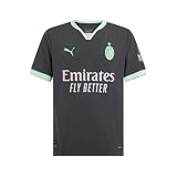AC Milan Unisex Maglia Gara Third Renntrikot, Saison 2024/25, DryCell Technologie, reguläre Passform, grau, M