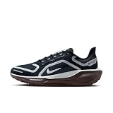 Nike Pegasus 41 Gore-Tex Wasserdichter Straßenlaufschuh Für Damen, Dark Obsidian/Pure Platinum-Black, FQ1357-401, 41 EU (9.5 US)