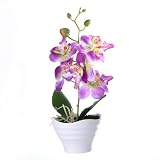 Künstliche Phalaenopsis-Orchideen, atemberaubender Mittelpunkt für Hochzeiten und Partys (D)