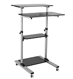 ROLINE PC-Steh-Arbeitsplatz, höhenverstellbar, schwarz / g