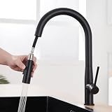 Auralum Wasserhahn Küche Schwarz, Hochdruck Küchenarmatur mit Brause Ausziehbar, Schwarz Armatur Küche Edelstahl Mischbatterie Küche mit H