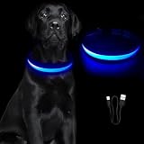 Hundehalsband Leuchtend,Leuchthalsband Hund Aufladbar,Wasserdicht Halsband Hund,Einstellbare Größe,Haustier Sicherheit Kragen,3 Blitzmodi,Haustier Sicherheit Kragen für Hunde für Nacht S