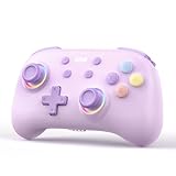 IINE Kabelloser Controller für Switch/PC/Android/IOS, Niedlicher Gamepad mit RGB-Beleuchtung, Mini Pro Controller mit Turbo/Makro/NFC Amiibo/Bewegungssensor/Wake-Up/Rumble (Purple)