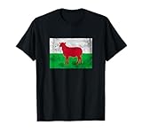 Walisische Flagge Cymru Cardiff Swansea Wrexham T-S