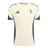 adidas Juventus Turin Training Trikot Jersey (DE/NL/SE/PL, Alphanumerisch, L, Regular, Regular, beige)
