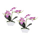 HOLIDYOYO 2st Simulation Phalaenopsis Lebensechter Kleiner Bonsai Künstliche Phalaenopsis-orchideen Gefälschte Bonsai- Künstliche Phalaenopsis-blüten Violett Seidenb