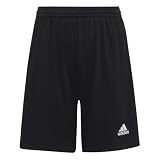 adidas Unisex Kinder Entrada 22 Training Shorts, Black, 9-10 Y