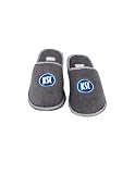 Karlsruher SC KSC Hausschuhe Pantoffeln grau (Grau, EU Schuhgrößensystem, Erwachsene, Numerisch (von/bis), M, 45, 46)