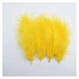 Craft Bunte Federn, Bastelfedern for Schmuck, Bastelzubehör, 20er- oder 100er-Pack, mehrfarbig, 10–15 Zentimeter(Color 11,100 Pcs)