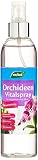 Westland Orchideen Vitalspray, 250 ml – Blattpflege speziell für Orchideen, revitalisierendes Orchideen Spray für langanhaltende Blütenp