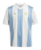 adidas Replicas - Trikots - Nationalteams Argentinien 125th Anniversary Trikot Kids blauweiss 152
