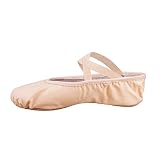 Bezioner Segeltuch-Ballett-Hefter Zufuhr-Tanz-Schuhe für Alle Altersgruppen (Rosa, 41)