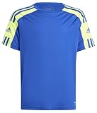 adidas Jungen Squadra 21 Jersey, Team royal Blue/Team solar Yellow/Team royal Blue, 11-12 Y