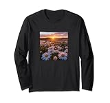 Oxeye Gänseblümchen-Blumenfeld, schöne Sonnenuntergang-Grafik Lang