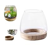 YOOYOO Rundes Glas-Fischtank, Betta-Fischschale, Goldfisch-Blasenschale, Indoor-Topf für Pflanzen, Hydrokultur-Pflanze, Aquarium, Fischglas, abnehmbarer Boden, Mini-Terrarium, Blumenvase,