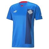 PUMA Island Heimtrikot 2022/23-L B