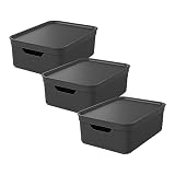 Rotho Jive 3er-Set Aufbewahrungsbox 10l mit Deckel, Kunststoff,