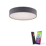 Paul Neuhaus, Q-Kiara, LED Deckenleuchte, Ø58cm, Smart Home, steuerbar via App, kompatibel mit Alexa, dimmbar mit Fernbedienung, Farbtemperatursteuerung