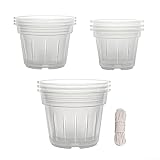 Orchidee zum Umtopfen von Essentials, 9 Stück, transparente Töpfe mit Löchern, Sup