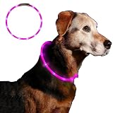 Anicoll LED Leuchthalsband Hunde Halsband USB wiederaufladbar - Längenverstellbarer Haustier Sicherheit Kragen für Hunde und Katzen- 3 Modus 12 Lichte (Lila)