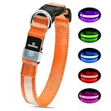 MASBRILL Leuchthalsband Hund, Hundehalsband Leuchtend Aufladbar, LED Halsband für Hunde Leuchtband Einstellbar Wasserdicht mit 3 Lichtmodi Sicherheit für Kleine Mittlere Große Hunde, Orange L
