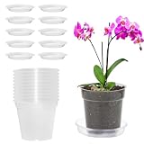 Vueinrg 10 Stück Orchideentopf Transparent 11,5cm aus Kunststoff Orchideen Übertopf Transparent Orchideentopf mit Untersetzer und Drainageloch Indoor Outdoor Balkon Schreib