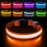 PcEoTllar Leuchthalsband Hund, Hundehalsband Leuchtend Aufladbar mit 7 Farbwechsel - 8 Leuchtmodi, LED Hundehalsband Wasserdicht für Kleine Mittlere Große Hunde Leuchtendes Halsband, Orange-S