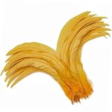 Holmgren Goldgelbe Hahnfedern, Großpackung – 60 Stück, 30,5–35,6 cm, natürliche große Hahn-Coque-Schwanzfedern für Bastelarbeiten, Karneval, Maskerade, Party, Kostüm-Dekoration (Goldgelb)