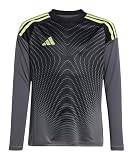 adidas Performance Tiro 25 Competition Torwarttrikot Kids grau, 176