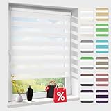 Doppelrollo klemmfix ohne Bohren, Duo Rollos für Fenster & Tür mit Bohren, Version 2026 Weiß B41 x H150cm (Stoffbreite 41 cm), Fensterrollo lichtdurchlässig & verdunkelnd, Klemmrollo S