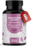 Artischockenextrakt Hochdosiert - 400 Kapseln - 2.400 mg pro Tagesdosis davon 60mg Cynarin - - Artischocken Extrakt hochdosiert, Artischocke - Vegan und produziert in D