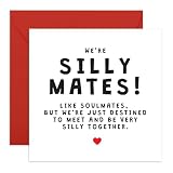 Lustige BFF-Grußkarte - 'Silly Mates!' - Lustige Freundschaftskarte für enge Freunde, Ihn, sie, Kumpel, Kumpel, Besties, Bruder, Schwester, Frauen, Männer - Geburtstage, Galentines Silly Tog