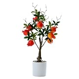 BLSYHDH 18' Mix Zwerg-Bonsai-Obstbaum, Künstliche Zitronen-Simulation, Lebensechter Kumquat-Granatapfelbaum, Grüne Pflanze, Künstliche Früchte mit Topf Im Topf, Perfekt für Küche, Zuhause,(#3)