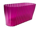 Plastia 1909203846 Orchideenkasten Triola, transp