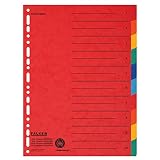 Original Falken Karton-Register überbreit für DIN A4+ 24,5 x 30 cm volle Höhe mit Organisationsdruck 10-teilig vollfarbig 2 x 5 Farben zur Ablage von Prospekthü