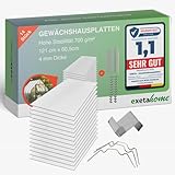 Exeta 14x Gewächshausplatten 4 mm I Polycarbonat Hohlkammerplatten für Gewächshäuser I Set inkl. 50 W-Klammern & 50 Z-Clip I PC Doppelstegplatten bruchsicher I 60,5cm x 121cm I Transp