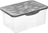 Rotho Ranger Aufbewahrungsbox 13l mit Deckel, Kunststoff (PP) BPA-frei, anthrazit, A4/13l (39.0 x 27.0 x 17.5 cm)