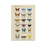 IEJDA Illustrierte Bücher Retro Schmetterling Exemplar Bildung Poster Vintage Leinwand Kunst Poster und Wandkunst Bild Druck Modern Familie Schlafzimmer Dekor Poster 30 x 45